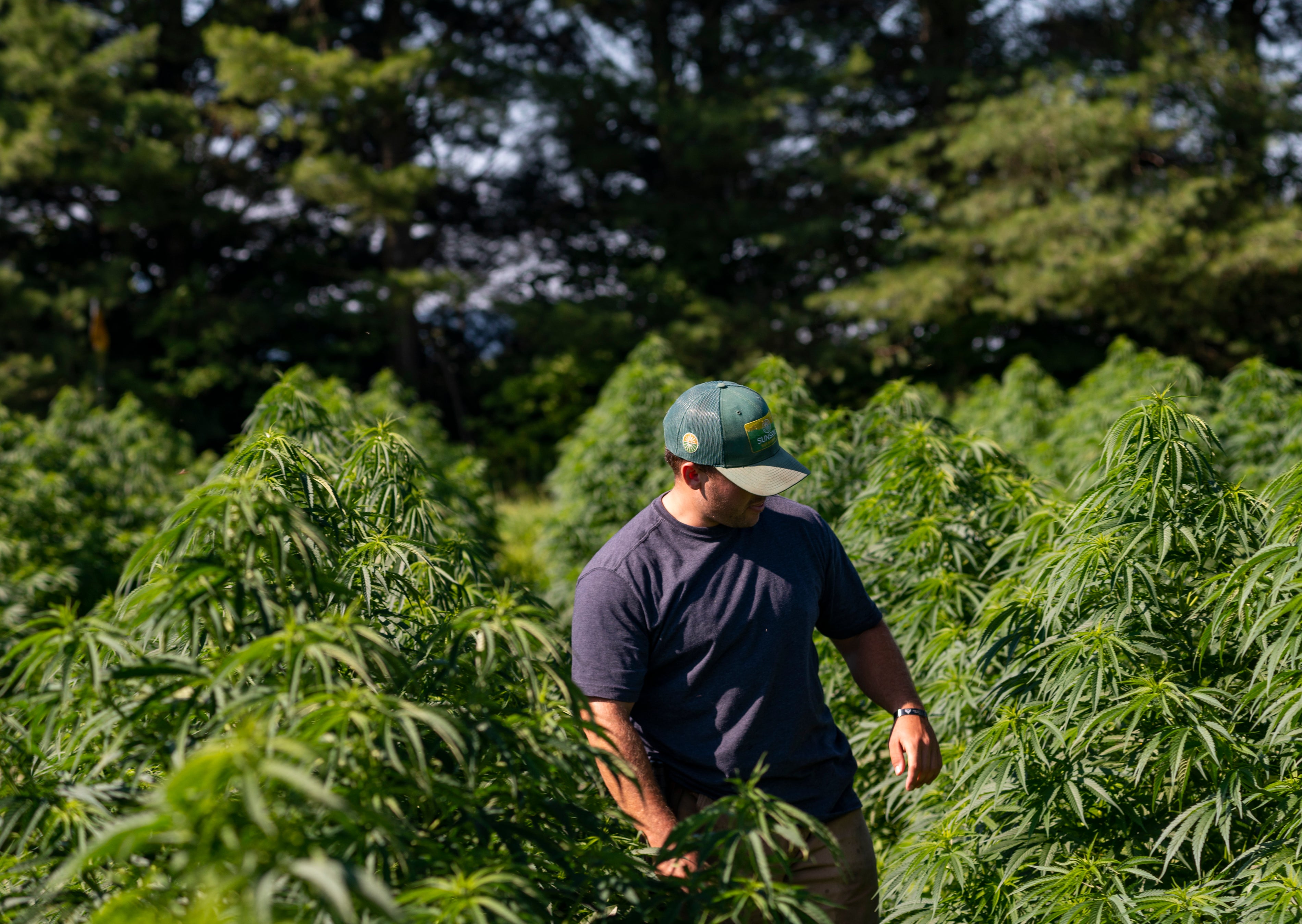 Sunsoil Green Harvest Hat - Sunsoil