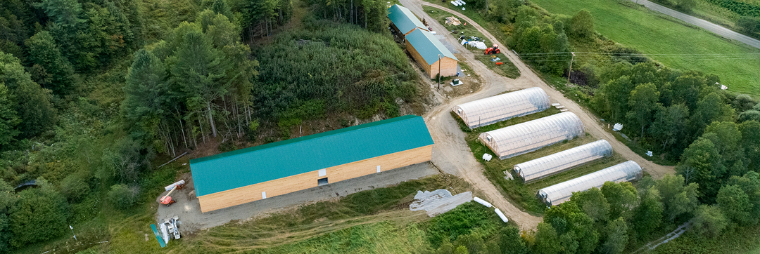 How We Dry Hemp in the Northeast – Sunsoil