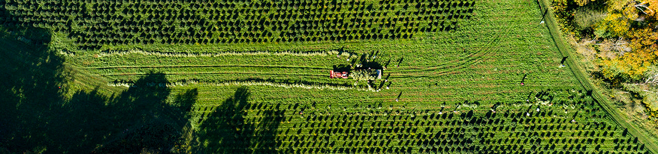 Picture of a tractor in a farm field. 