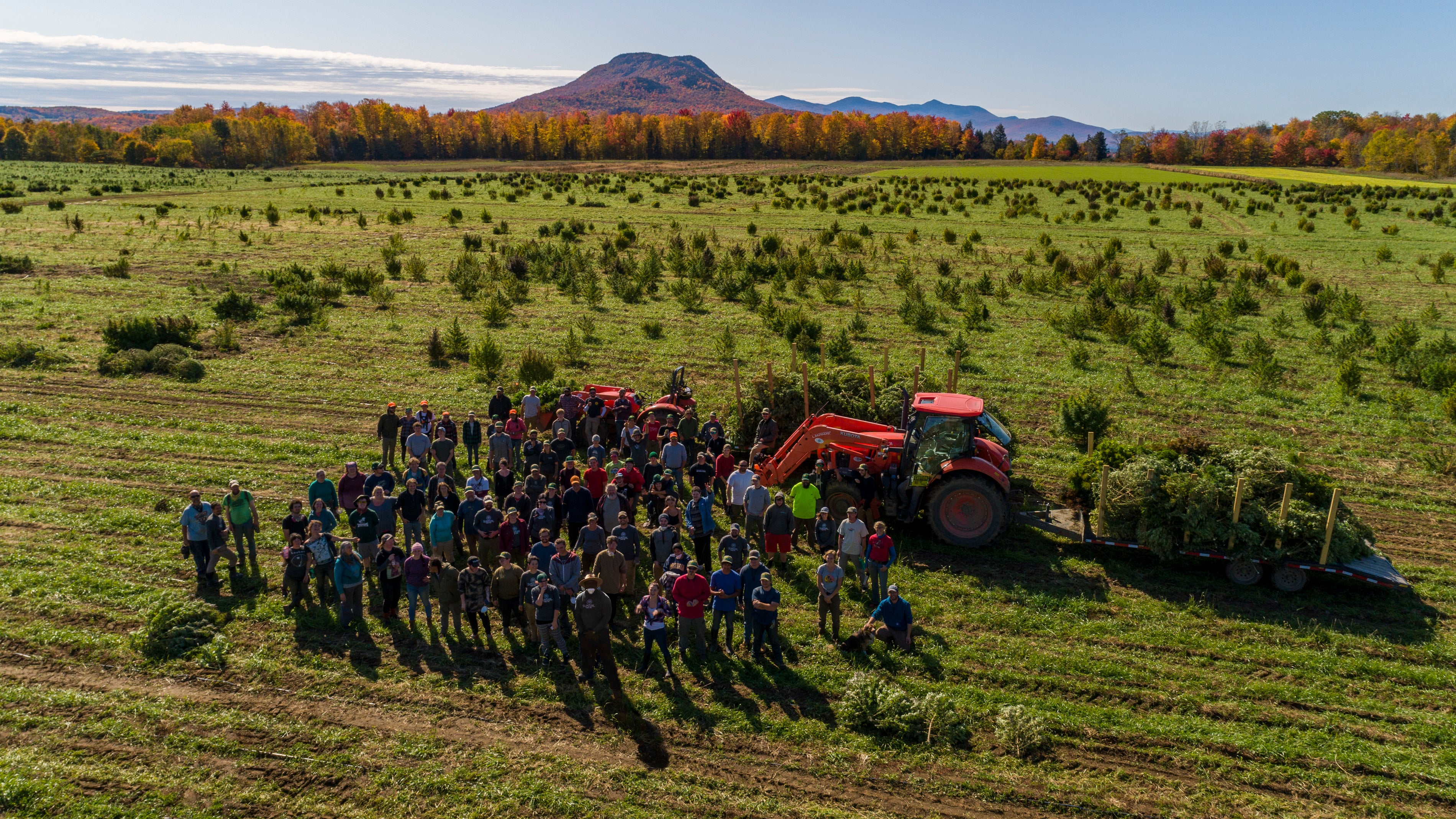 aerial shot of Sunsoil employees in the field during harvest