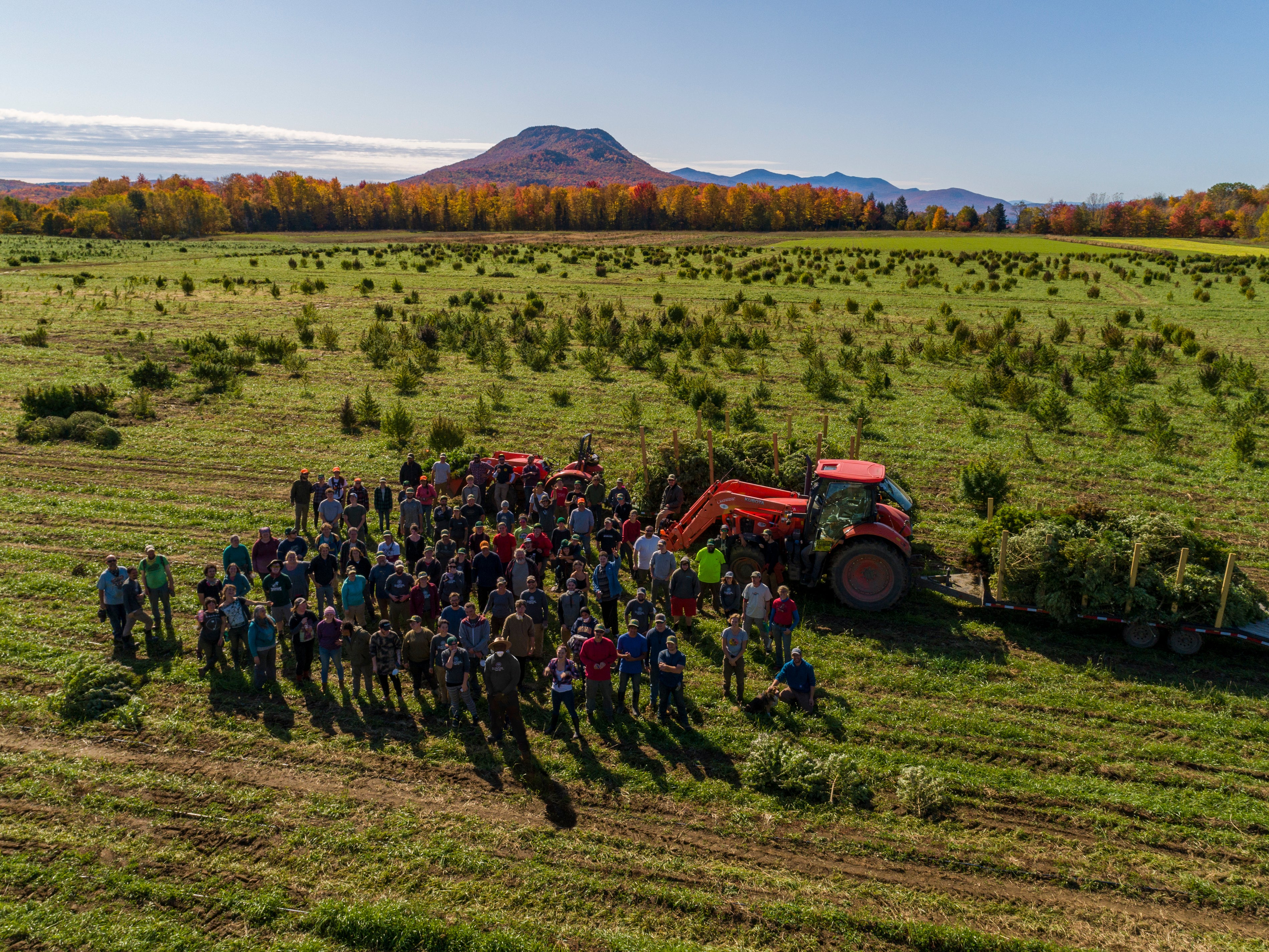 aerial shot of Sunsoil employees in the field during harvest
