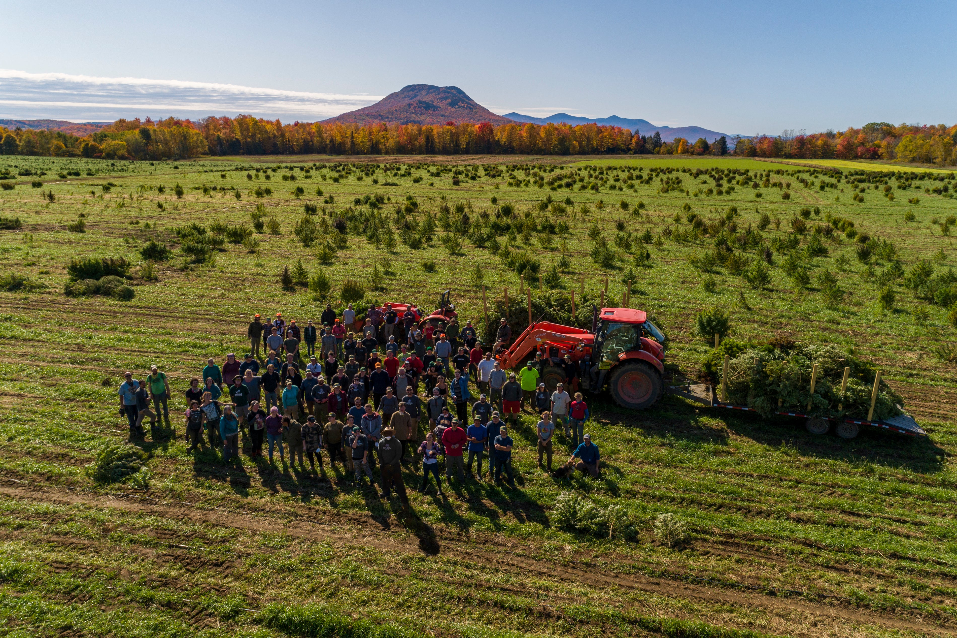 aerial shot of Sunsoil employees in the field during harvest