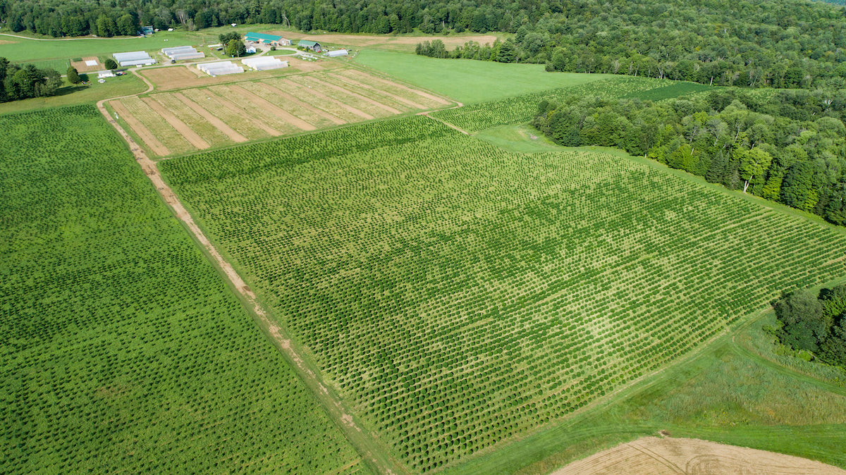 Green field in Hardwick, Vermont