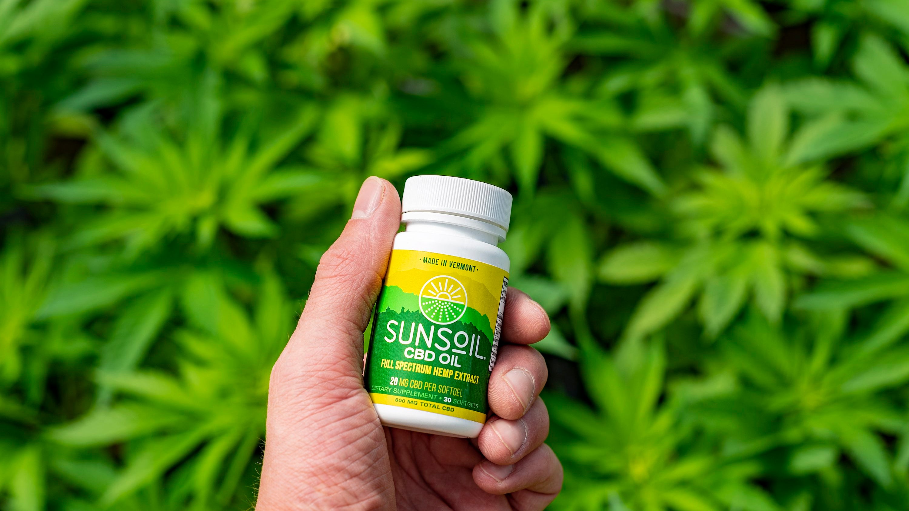 hand holding a bottle of Sunsoil CBD