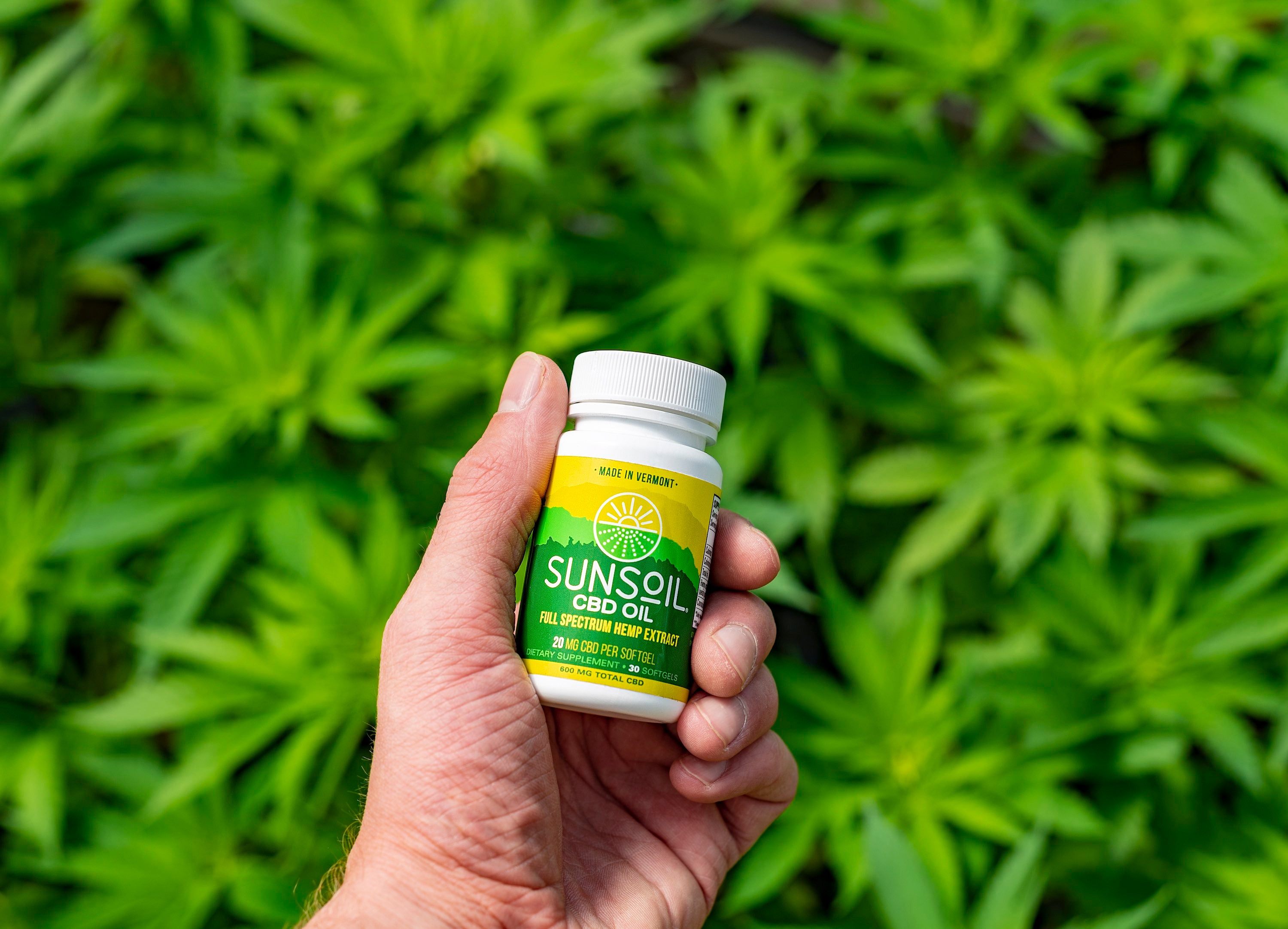 hand holding a bottle of Sunsoil CBD