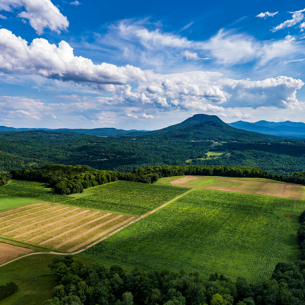 Picture of a farm field with mountains behind