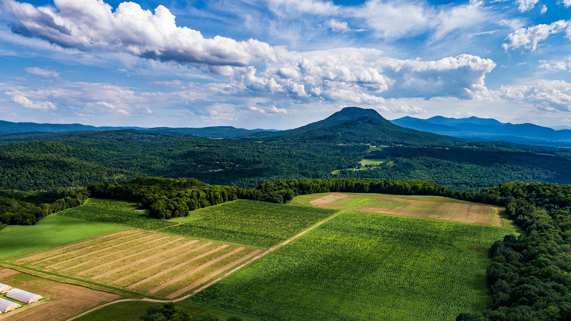 Picture of a farm field with mountains behind